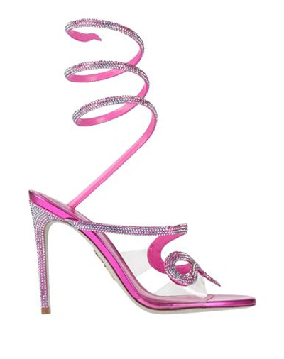René Caovilla Rene' Caovilla Woman Sandals Fuchsia Size 6.5 Textile Fibers, Plastic In Pink