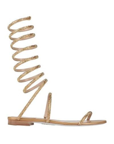 René Caovilla Rene' Caovilla Woman Sandals Gold Size 6 Leather, Textile Fibers