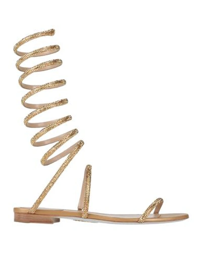 RENÉ CAOVILLA RENE' CAOVILLA WOMAN SANDALS GOLD SIZE 7 LEATHER, TEXTILE FIBERS