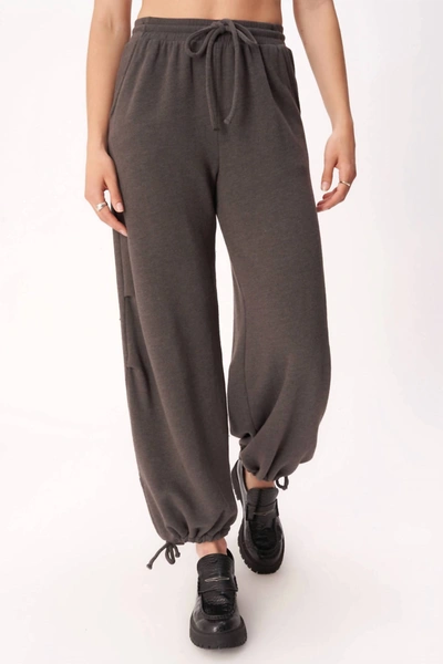 Project Social T On The Rise Parachute Pant In Vintage Black In Brown