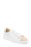 AGL ATTILIO GIUSTI LEOMBRUNI SADE SNEAKER