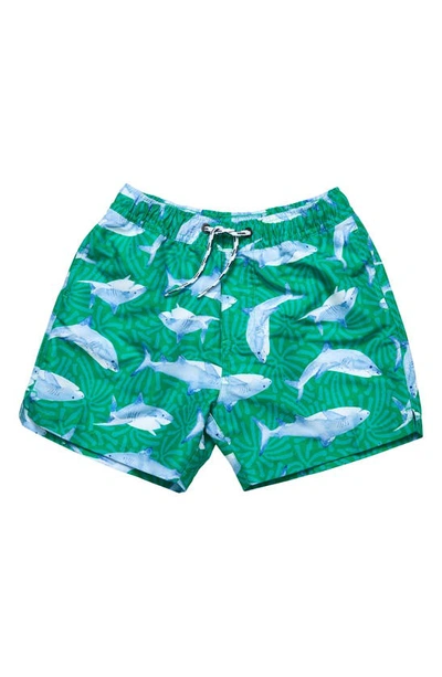 Snapper Rock Kids' Reef Shark Swim Short In Green