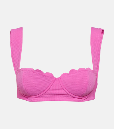 Marysia North Scalloped Bikini Top In Pink