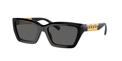 Tiffany & Co Tf4213 Rectangle-frame Acetate Sunglasses In Dark Grey