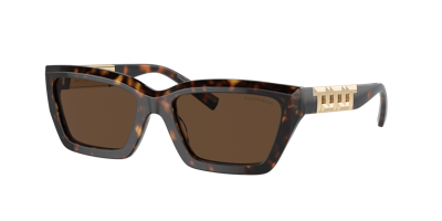 Tiffany & Co . Woman Sunglass Tf4213 In Light Brown