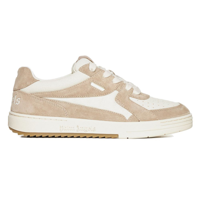 Palm Angels University Trainer In Brown