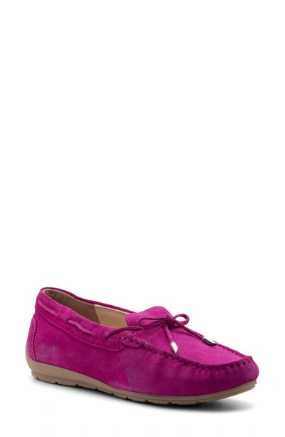 Ara Amarillo Leather Driving Shoe In Pink