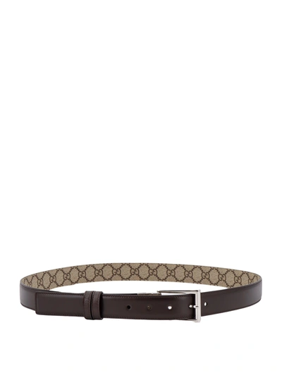 Gucci Leather Belt In Cocoa/beige
