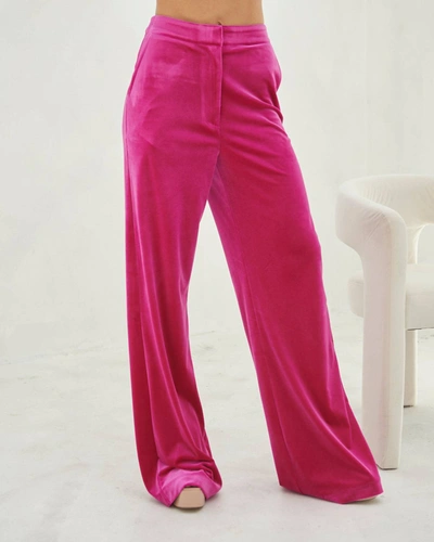 Karina Grimaldi Vanna Pants In Hot Pink