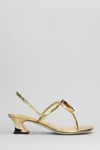 GIUSEPPE ZANOTTI ANTHONIA SANDALS IN GOLD SYNTHETIC LEATHER