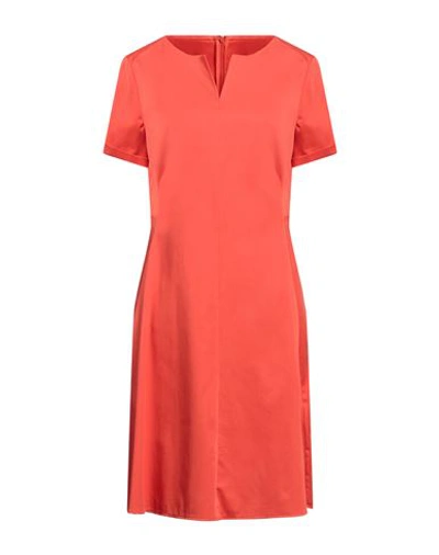 Diana Gallesi Woman Midi Dress Orange Size 12 Cotton, Polyester, Elastane