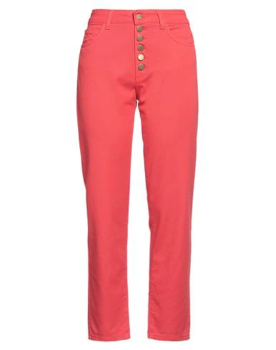 Kartika Woman Pants Red Size 8 Cotton, Elastane