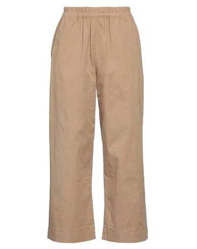 Another Label Woman Pants Camel Size 4 Cotton, Elastane In Beige