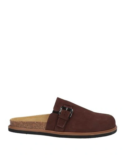 Pollini Man Mules & Clogs Brown Size 7 Leather