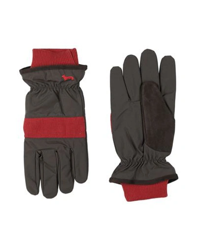 Harmont & Blaine Man Gloves Dark Brown Size L Polyester