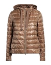 Herno Woman Down Jacket Camel Size 6 Polyamide, Polyester, Cotton, Viscose, Metallic Fiber In Beige