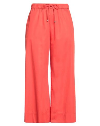 Max Mara Woman Pants Tomato Red Size 14 Cotton In Tomato Red