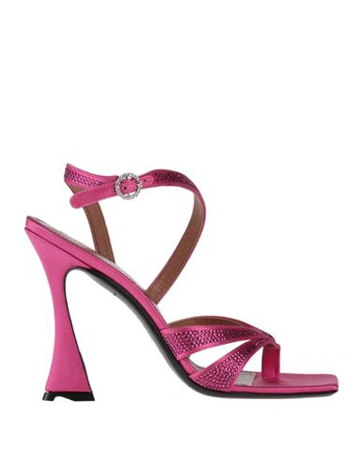 D’accori D'accori Woman Thong Sandal Fuchsia Size 8 Textile Fibers In Pink
