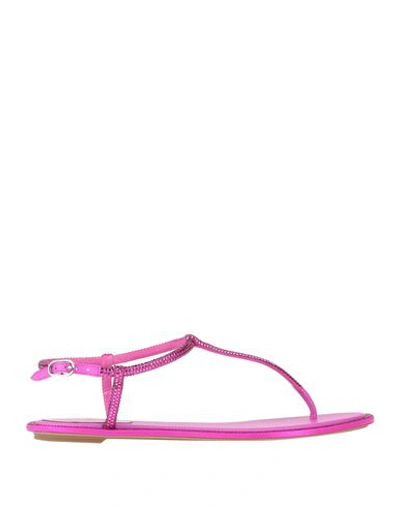 René Caovilla Rene' Caovilla Woman Thong Sandal Fuchsia Size 7 Textile Fibers In Pink