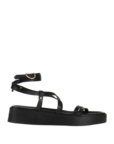 ANCIENT GREEK SANDALS ANCIENT GREEK SANDALS WOMAN SANDALS BLACK SIZE 8 COWHIDE