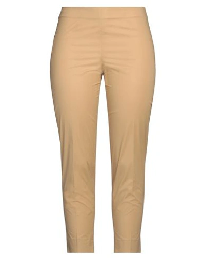 Piazza Sempione Woman Pants Camel Size 8 Cotton, Elastane In Beige