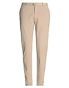 Circolo 1901 Man Pants Taupe Size 28 Cotton, Elastane In Grey
