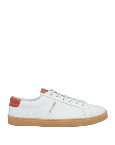 Baldinini Man Sneakers White Size 13 Leather