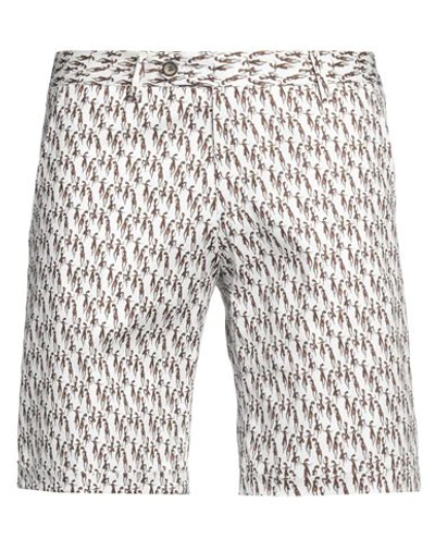 Roberto P  Luxury Roberto P Luxury Man Shorts & Bermuda Shorts White Size 34 Cotton, Elastane