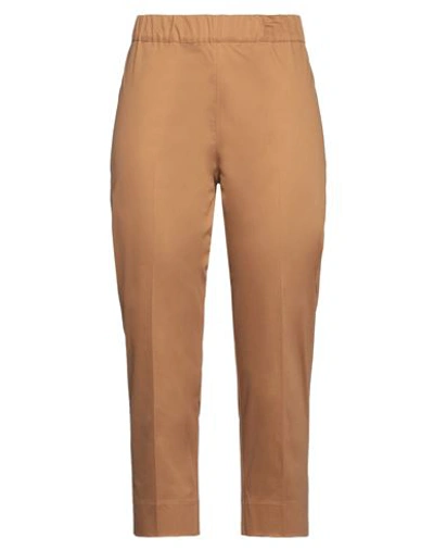 D-exterior D. Exterior Woman Pants Camel Size 10 Cotton, Elastane In Beige