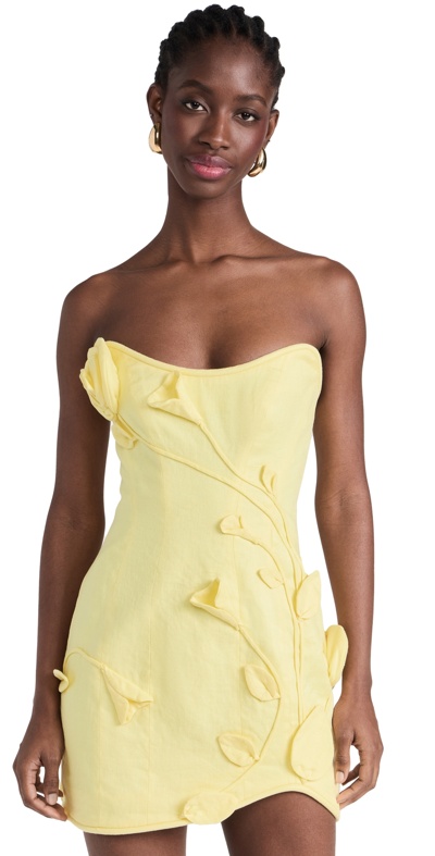 Zimmermann Matchmaker Rose Linen Mini Dress In Yellow
