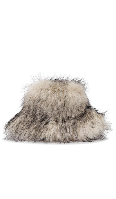 Adrienne Landau Faux Racoon Hat In 米色