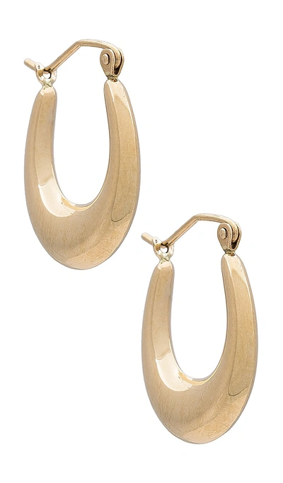 Loren Stewart Dome Hammock Hoop Earrings In 14k Yellow Gold