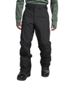 THE NORTH FACE MEN'S FREEDOM SNOW PANTS