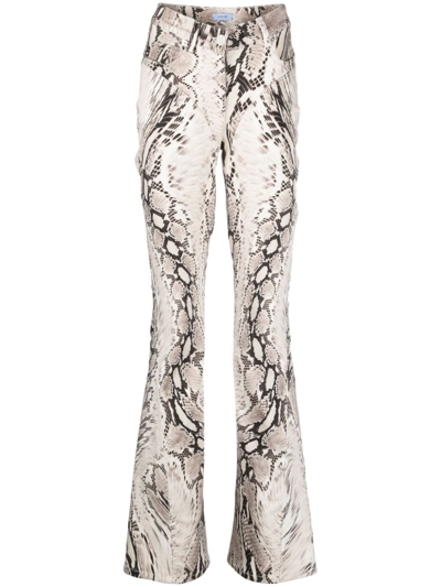 Mugler Printed Straight Leg Pant In Neutrals