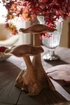 TERRAIN TEAK MUSHROOM, PAIR