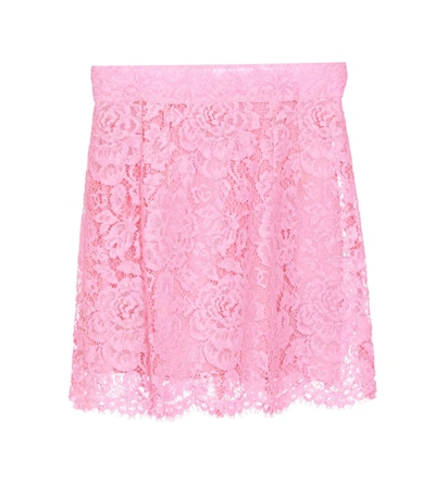 Dolce & Gabbana Branded Floral Cordonetto Lace Miniskirt In Pink