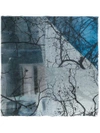 FALIERO SARTI TREE PRINT SCARF,I182164RIVOMBROSA12234892