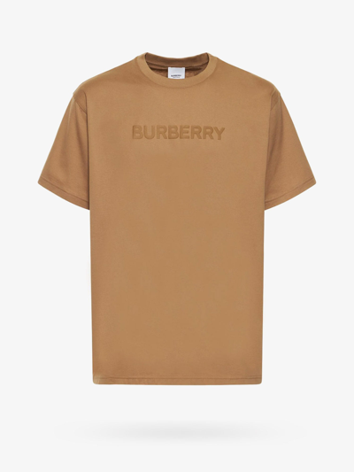 Burberry Harriston T-shirt In Multicolor