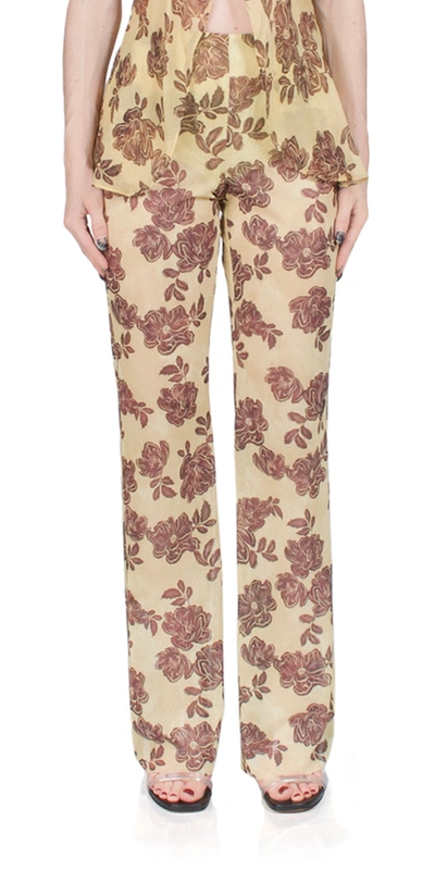 Bec & Bridge Priya Trouser In Brown