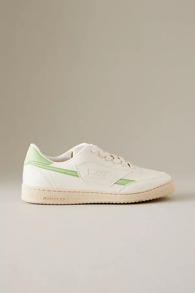 Saye Modelo '89 Vegan Trainers In White,green