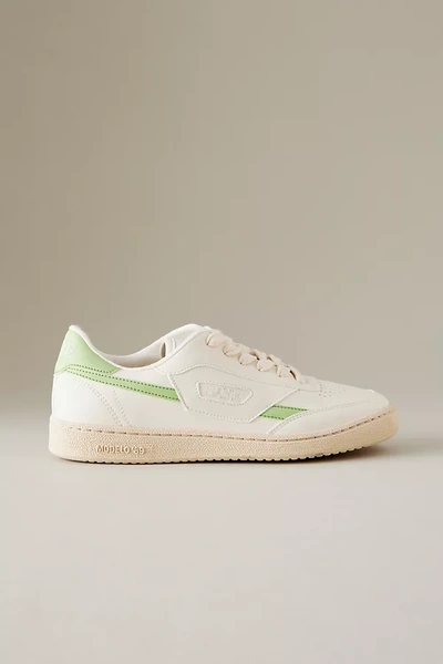 Saye Modelo '89 Vegan Sneakers In White,green