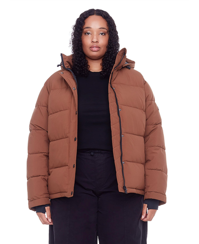 Alpine North Forillon Plus Women's Vegas Down (recycled) Short Quilted Puffer Jacket, Maple (plus Size) In Brown