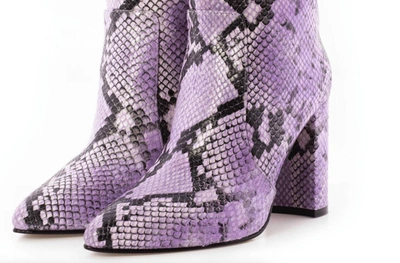 Toral Snake Print Ankle Boots In Violet In Purple