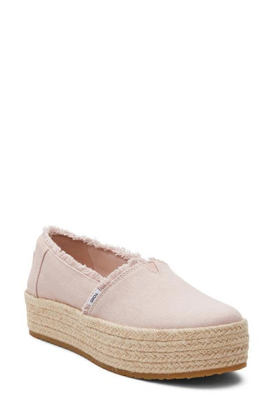 Toms Valcia Platform Espadrille In Ballet Pink Canvas