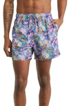 Boardies Shortie Swim Short In Blue Multi