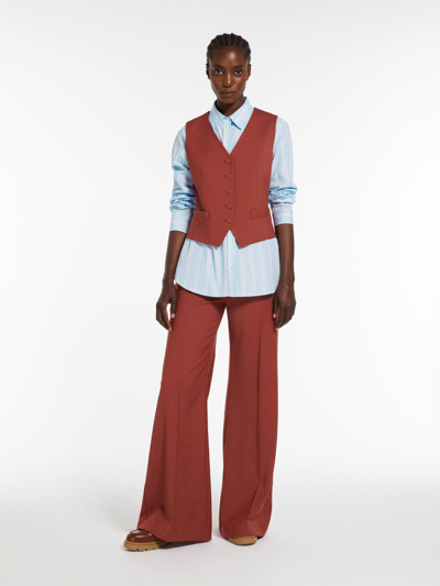 Max Mara Striped Poplin Shirt In Sky Blue