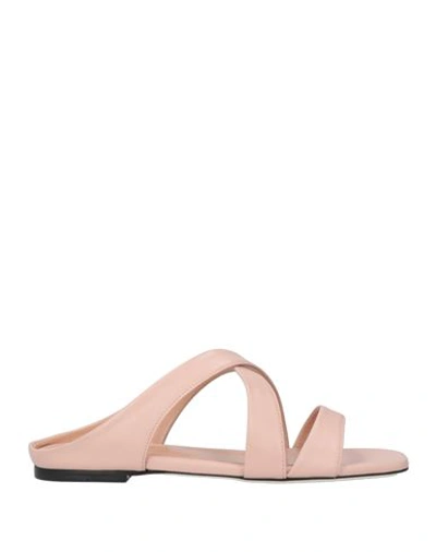 Pollini Woman Sandals Blush Size 11 Leather In Pink