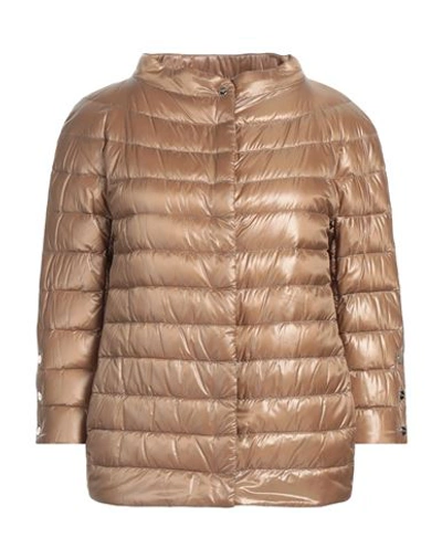 Herno Woman Puffer Sand Size 4 Polyamide, Polyester, Cotton In Beige