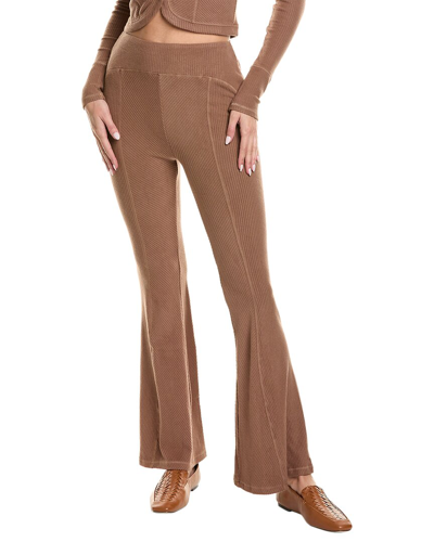 Area Stars Ribbed Pant In Brown