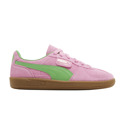 Pre-owned Puma Wmns Palermo 'pink Delight Green'